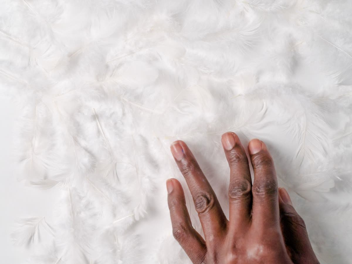 A hand resting in a drift of soft white feathers